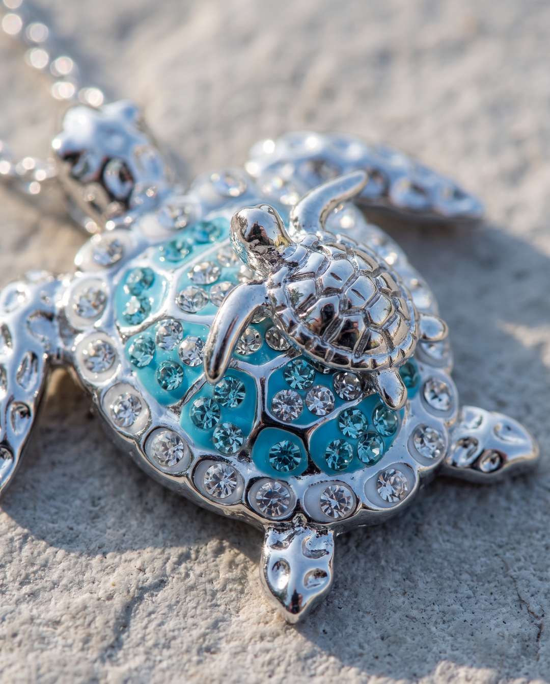 Baby turtle riding on the mother&